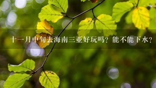 十1月中旬去海南3亚好玩吗？能不能下水？冷不冷？