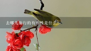 去哪儿旅行的有形性是什么？