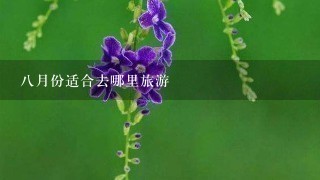 8月份适合去哪里旅游