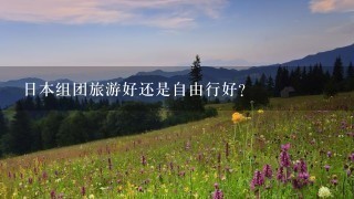 日本组团旅游好还是自由行好？