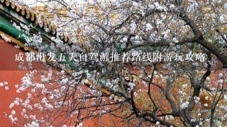 成都出发5天自驾游推荐路线附游玩攻略