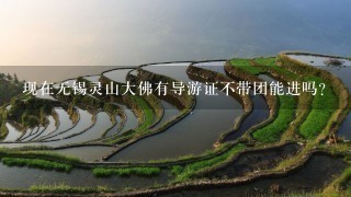 现在无锡灵山大佛有导游证不带团能进吗？