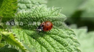 西安周边1日游景点