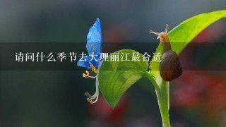 请问什么季节去大理丽江最合适