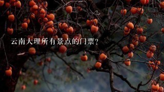 云南大理所有景点的门票？