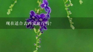 现在适合去西安旅行吗？