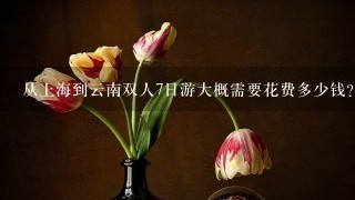 从上海到云南双人7日游大概需要花费多少钱？