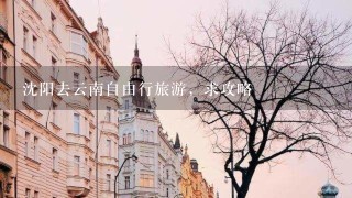 沈阳去云南自由行旅游，求攻略