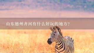 山东德州齐河有什么好玩的地方？