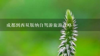 成都到西双版纳自驾游旅游攻略