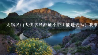 无锡灵山大佛拿导游证不带团能进去吗？我准备明天去玩，如果不能进有没有导游愿意帮下忙