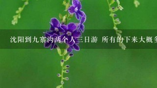 沈阳到9寨沟两个人3日游 所有的下来大概多少钱？