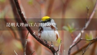 昆明大理丽江6日游攻略