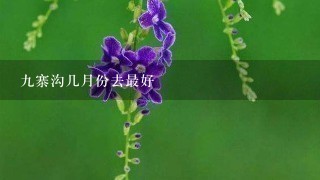 9寨沟几月份去最好