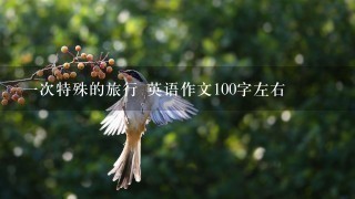 1次特殊的旅行 英语作文100字左右