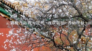 云南旅行路线为昆明-西双版纳-香格里拉-丽江-泸沽湖-昆明，机票全部订好，在这些旅游地点住在哪里比较好