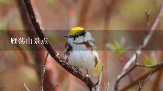 雁荡山景点