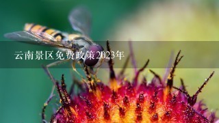 云南景区免费政策2023年