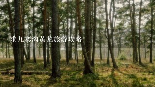 求9寨沟黄龙旅游攻略