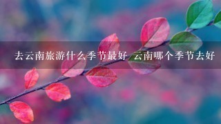 去云南旅游什么季节最好 云南哪个季节去好