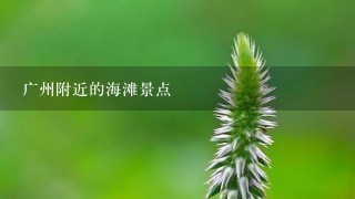 广州附近的海滩景点