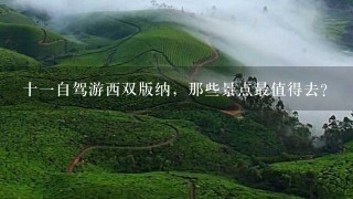 十1自驾游西双版纳，那些景点最值得去？