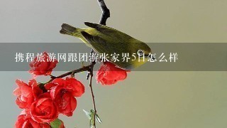 携程旅游网跟团游张家界5日怎么样