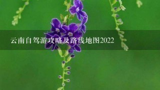 云南自驾游攻略及路线地图2022