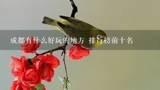 成都有什么好玩的地方 排行榜前十名