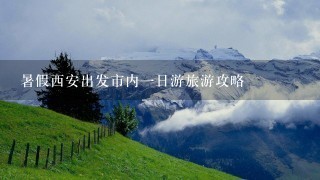 暑假西安出发市内1日游旅游攻略