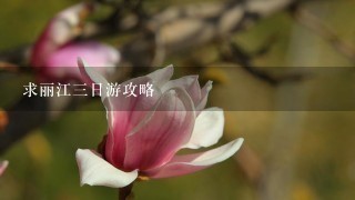 求丽江3日游攻略