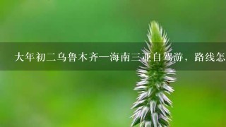 大年初2乌鲁木齐—海南3亚自驾游，路线怎么走？费用是多少？路况怎么样？求高人攻略哦