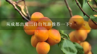 从成都出发2日自驾游推荐1下？