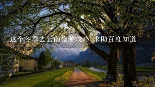 这个冬季去云南旅游攻略 求助百度知道