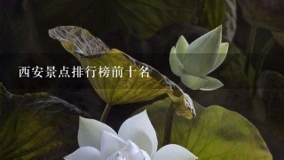 西安景点排行榜前十名