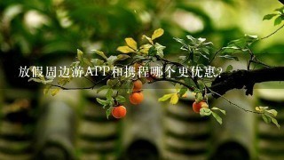 放假周边游APP和携程哪个更优惠？