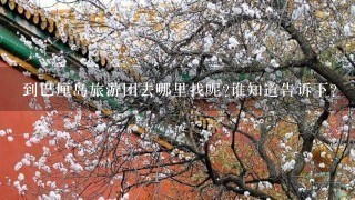 到巴厘岛旅游团去哪里找呢?谁知道告诉下?