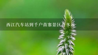 西江汽车站到千户苗寨景区有多远