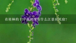 在桂林的十字街周围有什么江景房民宿？