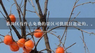 番禺区有什么免费的景区可供周日逛逛的。。