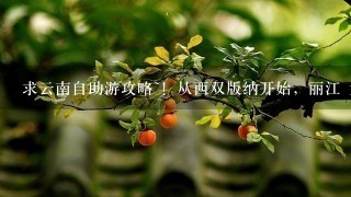 求云南自助游攻略~！从西双版纳开始，丽江 大理 昆