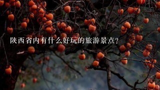 陕西省内有什么好玩的旅游景点？