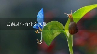 云南过年有什么风俗