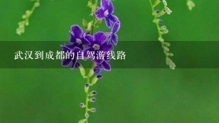 武汉到成都的自驾游线路