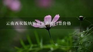 云南西双版纳旅游景点的门票价格