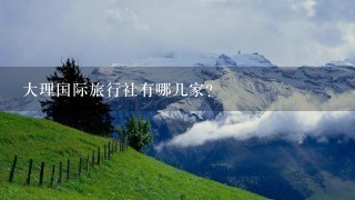 大理国际旅行社有哪几家？