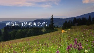 河池凤山县旅游景点？