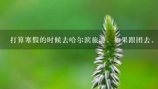 打算寒假的时候去哈尔滨旅游，如果跟团去，大概会花