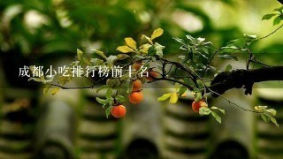 成都小吃排行榜前十名