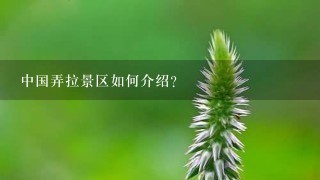 中国弄拉景区如何介绍？